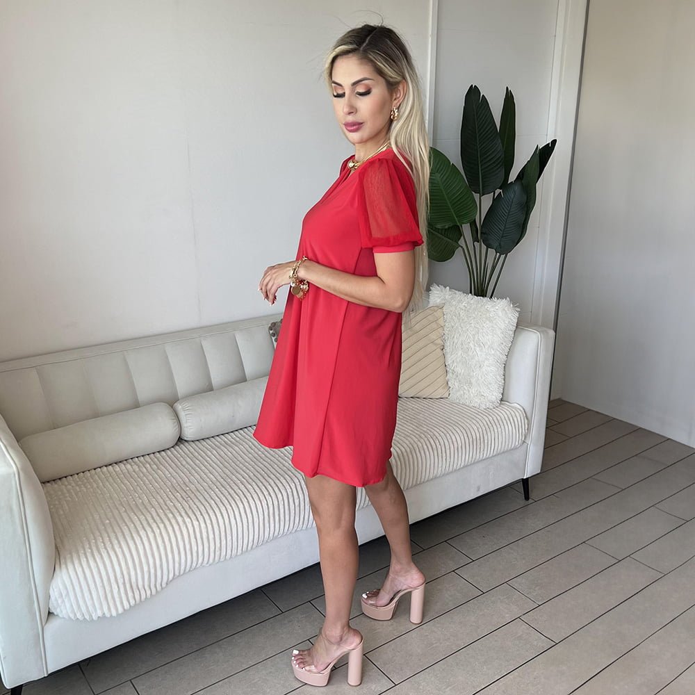 Vestido Aliza Manga Mallas